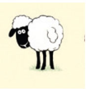 Sheepish Tea Towel